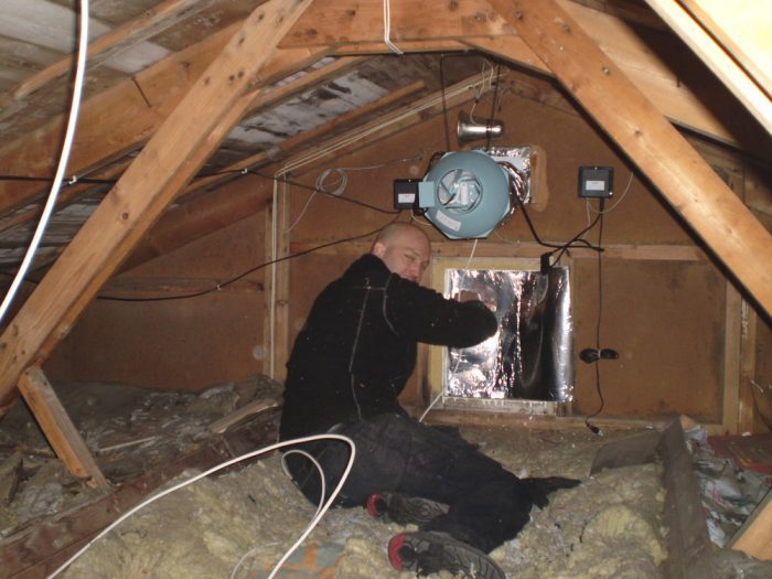 Vad orsakar mögel på vinden?