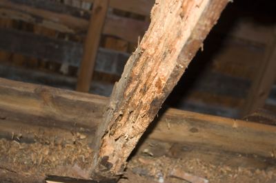 Hur väljer man avfuktare för krypgrund?