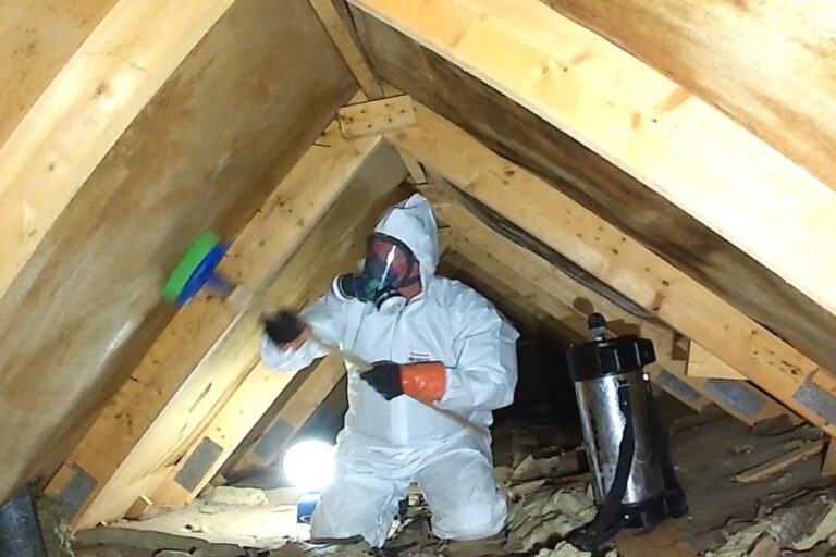 Vad kostar mögelsanering i krypgrund?