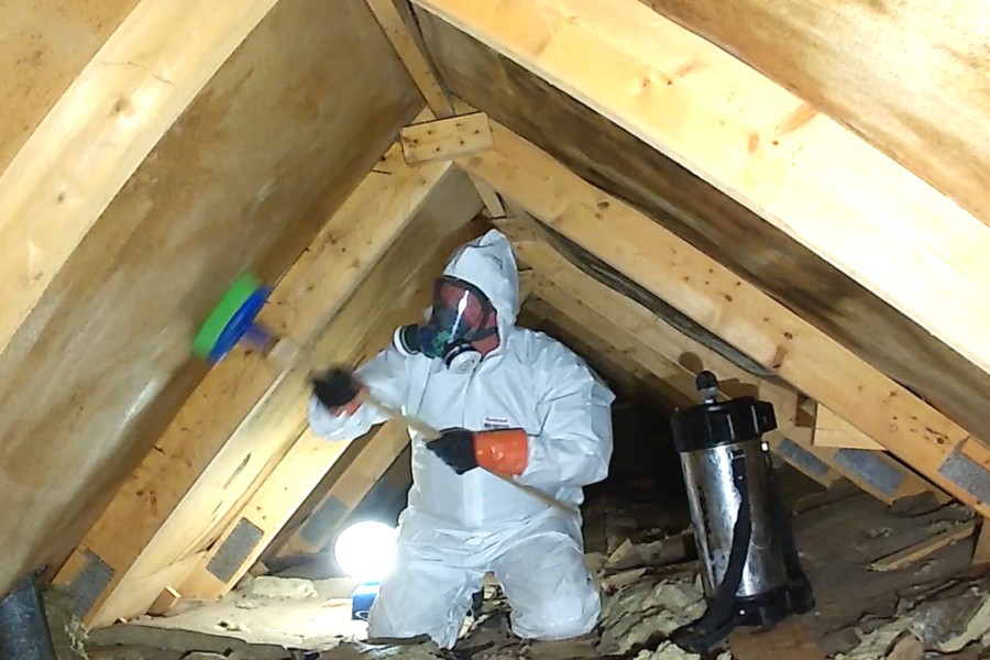 Vad kostar mögelsanering i krypgrund?