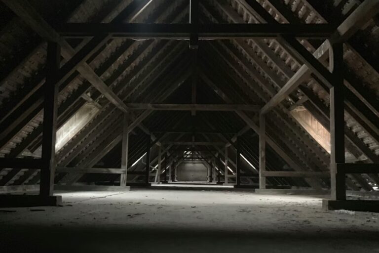 Vad skiljer svartmögel från vitmögel i huset?