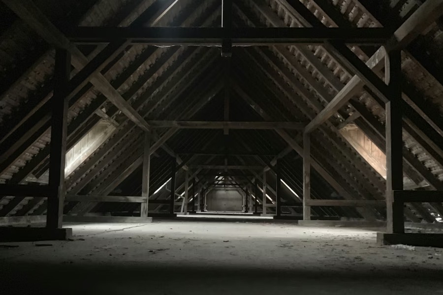 Vad skiljer svartmögel från vitmögel i huset?